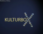 Kulturbox