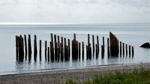 Værk opført i vandet til Sculpture by the Sea 