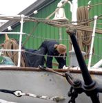 Besætningsmedlem til Tall Ships Races