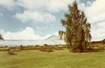 Væksthuset i Botanisk Have