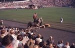 Festival Show på Aarhus Stadion