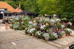 Blomsterfestival i Tivoli Friheden