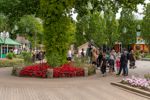 Blomsterfestival i Tivoli Friheden