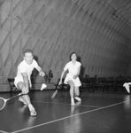 Danmarksmesterskab i badminton