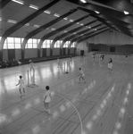 Viby-Hallen, badminton 