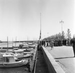 Standerhejsning i Lystbådehavnen