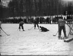 Ishockey-klub på Skovengen 