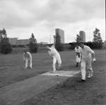 Cricketkamp Aarhus-OB 