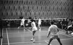 Badminton