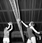 Volley, Kiel - Aarhus, Vorrevangsskolen