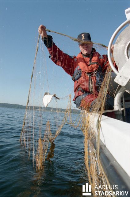 Fiskeriinspektion. Århusbugten. Jørgen Hejlsvig