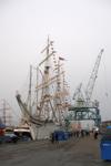 The Tall Ships' Races 2007